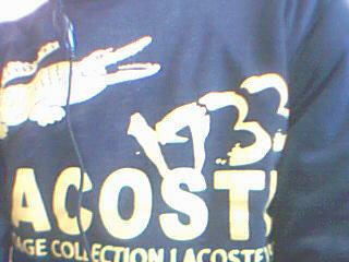 lacosta
